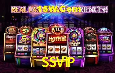 Login Seguro SSVIP